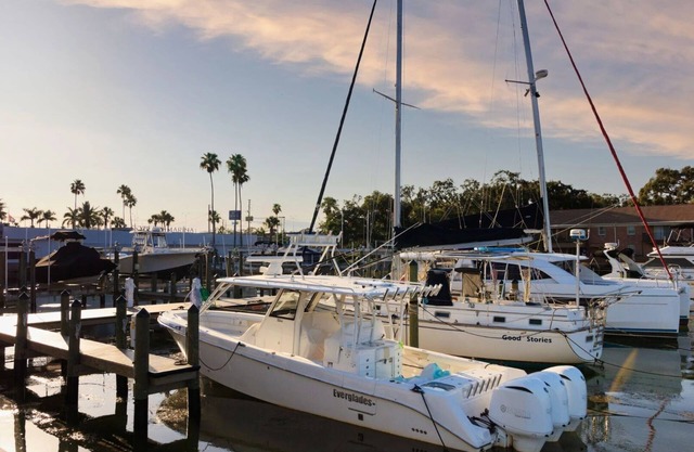 Explore St. Pete's Gems | Artistic Discoveries & Natural Wonders Await