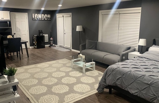 Extended Stay Lake View Newly Remodeled Studio Apartment!