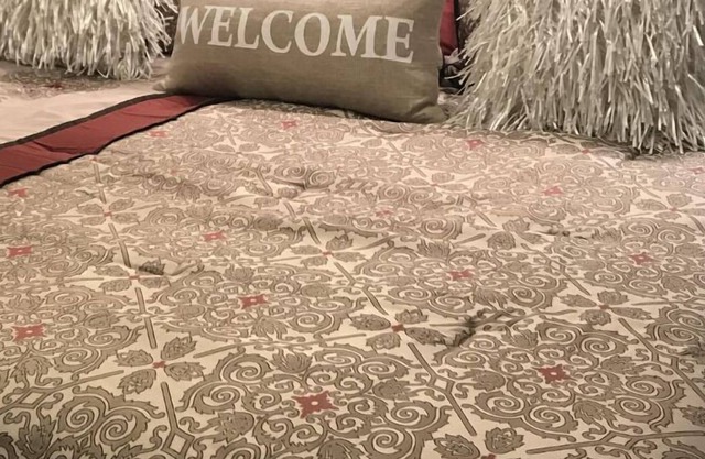 "F.O.D's Efficiency🏡" 1 Great Room, 1 Bath