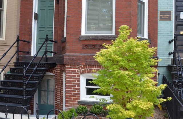 Fabulous 1890 Victorian home on Capitol Hill, only 100 steps to subway station!