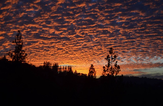 FairPlay Lodge - Relax in Luxury In Wine Country