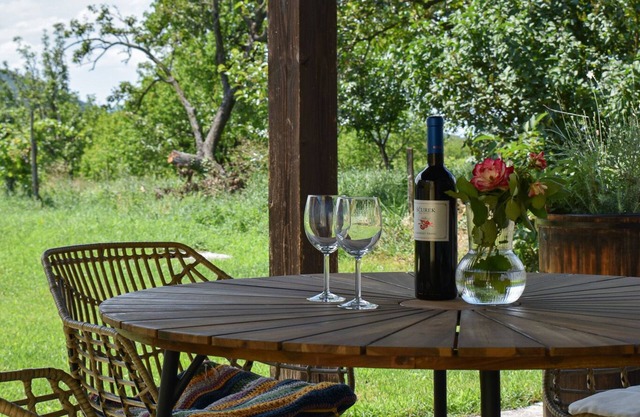 Family and pet friendly village house with vineyards.