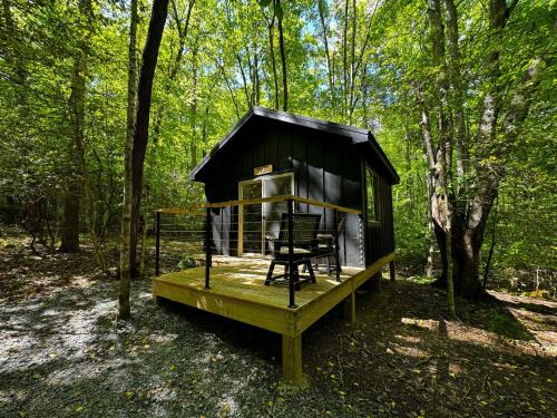 Family Glamping Cabin-Bed and Bear at Valley Bear Farms Resort