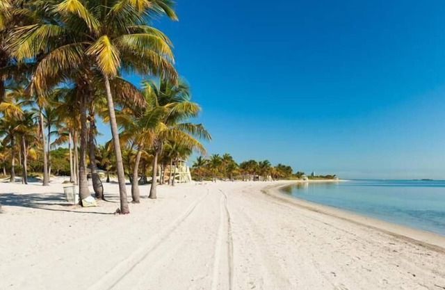 Fantastic Adventure In Key Biscayne! Outdoor Swimming Pool, Steps To The Beach