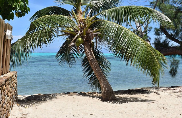 Fare Aute Beach