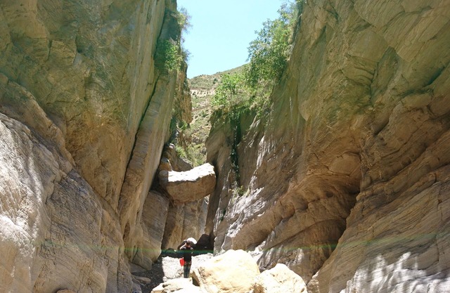 Farm "La Alcandora" with a view of the sea and puddle pool.