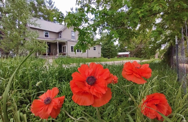 Farm to Folklore - Fairytale Farmhouse