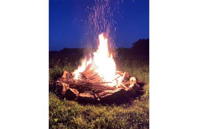 Farmhouse Getaway with fresh eggs and vegetables (In Season)