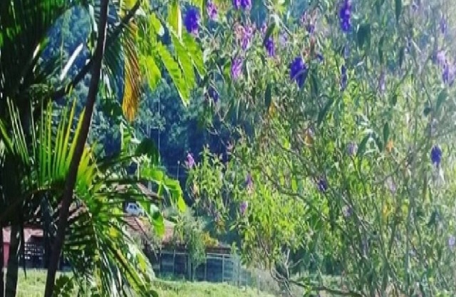 Fazenda Boa Sorte Ample space for leisure for families and groups Viva o verde