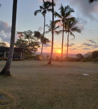 FAZENDA BOSQUE DAs PALMEIRAS