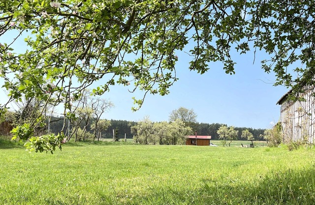 Ferienhaus Petersdorf UCK 121 - UCK 121