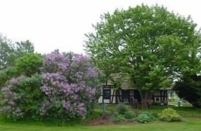 Ferienwohnung/app. für 5 Gäste mit 100m² in Sehlen