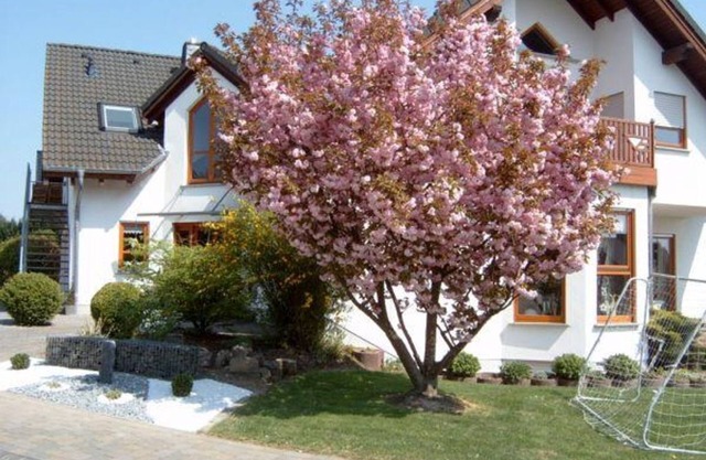 Ferienwohnung mit Herz - Appartement/fewo, Dusche, WC, Neuwertig