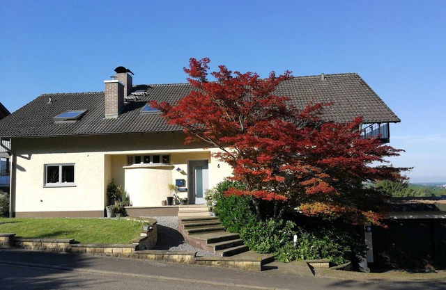 Fewo Waldreben - Ferienwohnung Waldreben
