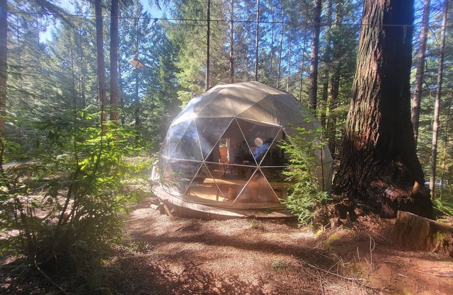 Fieldbrook Gnome Dome