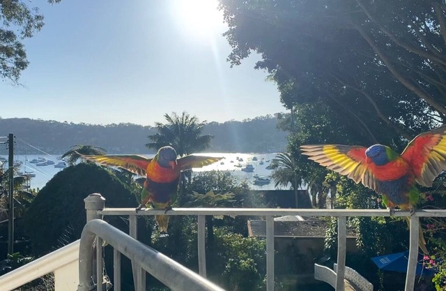 Fifties Beach Cottage