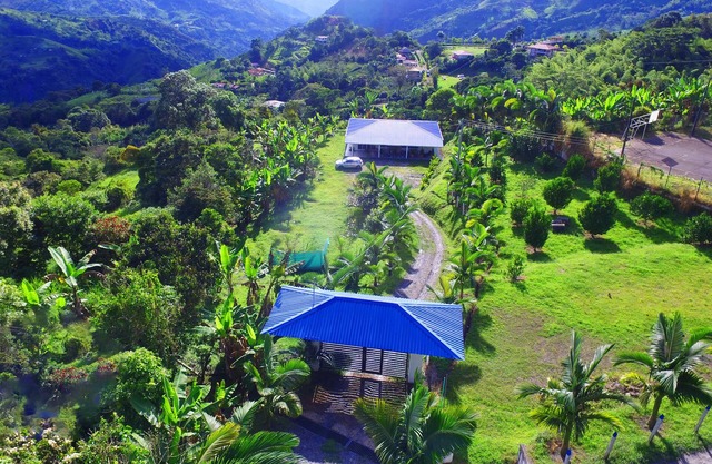 Finca El Recuerdo, Vergara.