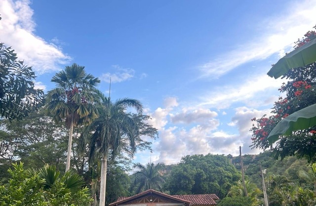 Finca Encanto!😁🌴🦜☀️nAcogedora, ideal para descansos cortos y larga estadía!