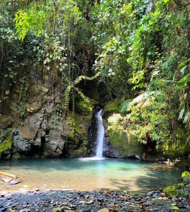 Finca en Vergara "Prado Alto"