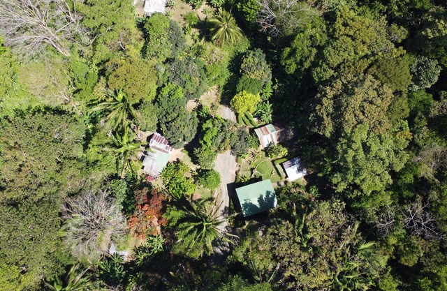 Finca la Bonita, Near Corcovado National Park.