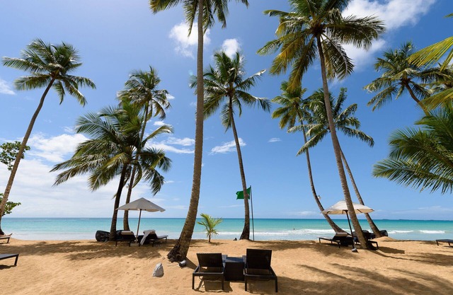 Find Bliss in a Luxury Beach Apartment with Hotel Services