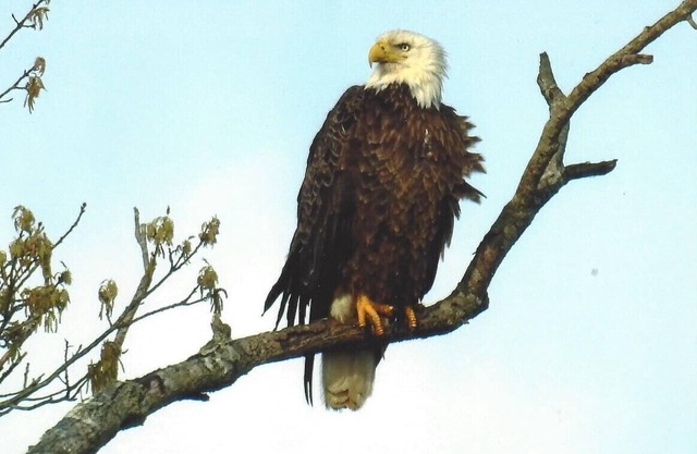 Fishermen and families wanted