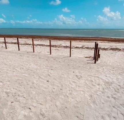 Flat beira mar - Enseada dos Golfinhos