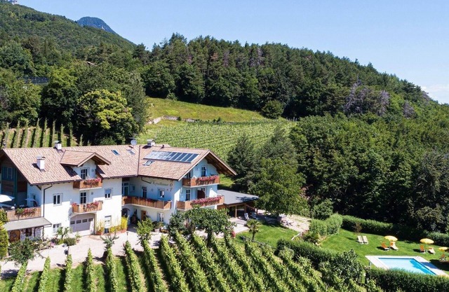 Flat Merlot in Kurtatsch with panoramic view