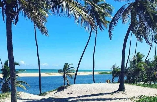 flat type apartment - sleeps up to 04 people per apartment