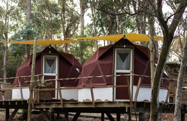 Flor de Vida Geocabañas - Domos Geodésicos