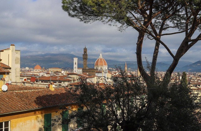 Florence in the window-Hosted by Sweetstay