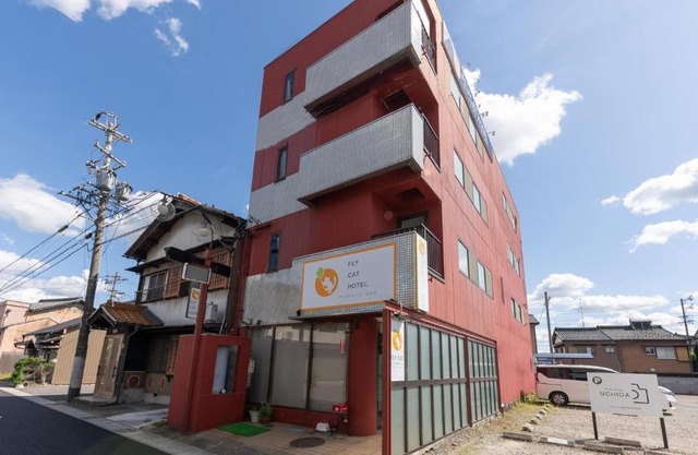 FLY CAT HOTEL
