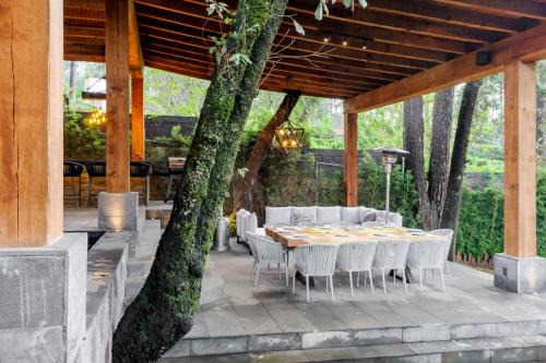 Forest Guesthouse Avándaro, Entretenimiento y Confort para grandes y chicos