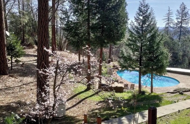 Forest Studio with Pool & Mountain View’s