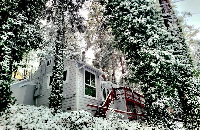 Forest-view cabin with deck, grill, wood stove, washer/dryer, & fast WiFi