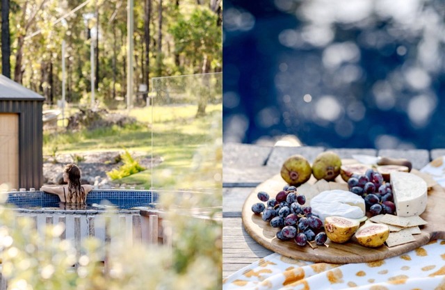 Forever Sunday in Little Forest