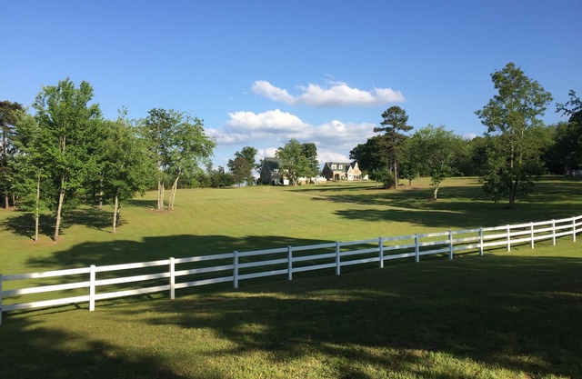Forty Mile View Above the Clouds