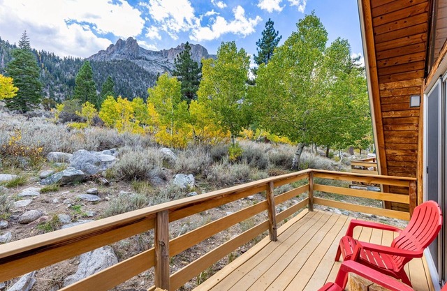 Four Seasons Cabin 1 with enchanting forest views