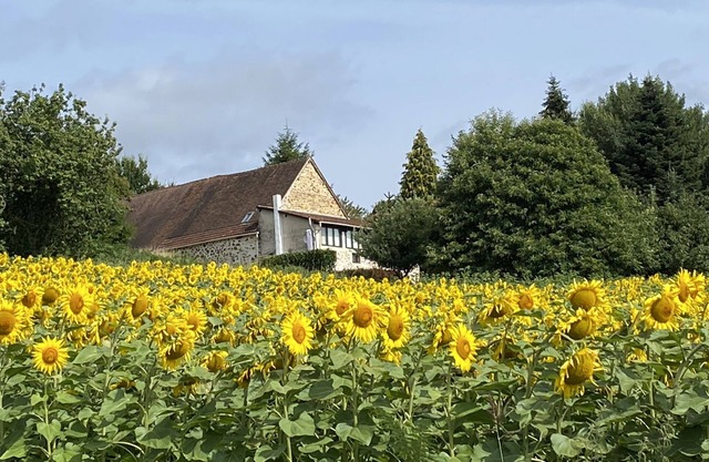 Four-star tranquil retreat - perfect for a driving holiday in the Perigord Vert