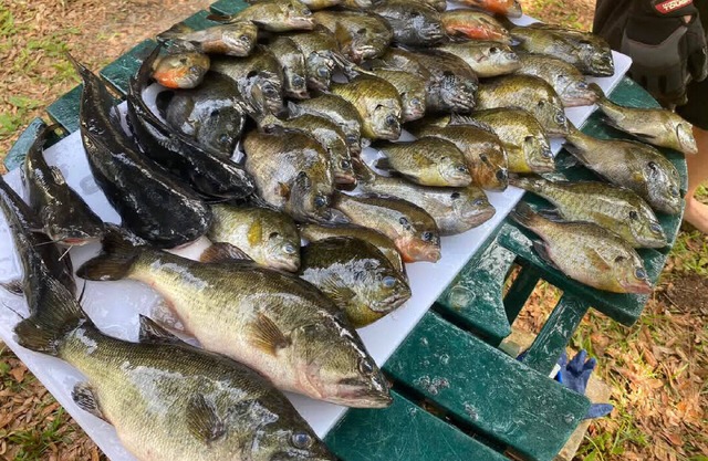 FREE Boat to use-Fish from the TIKI outback-Dock your boat on canal-Pets OK-4 Br