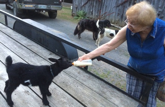 Free Guided mountain walking tour with ranch stay