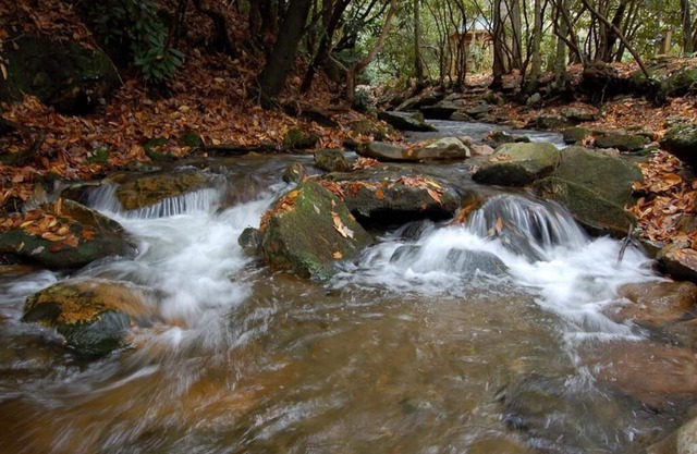 Free Local Estate Tours + Peaceful Cabin + Hot Tub Overlooks Creek