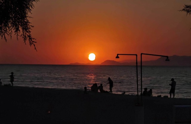 Freeman Greenlees Hellenic Garden House