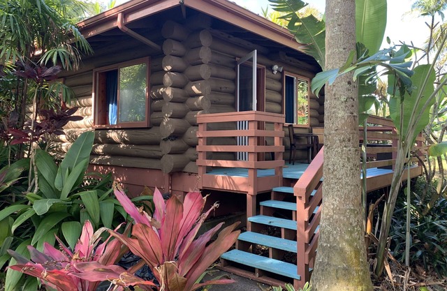 FROG POND: Cozy, family streamside/garden & cabin for 3-4 next to Waipio Valley