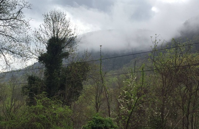 Front door neighbor of CHIMNEY ROCK-lower unit