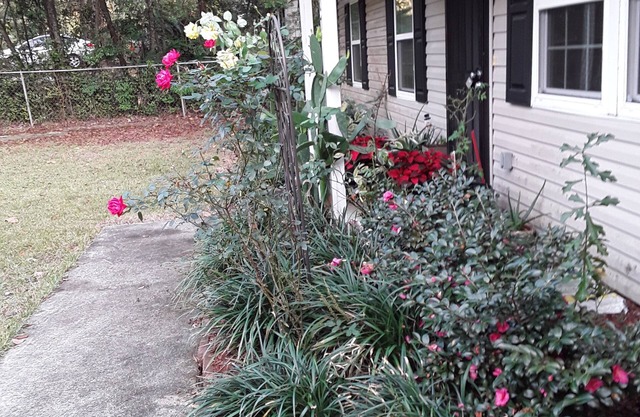 Fsu, Famu, Tally Airport, City Life in Tallahassee quiet living just quick ride.