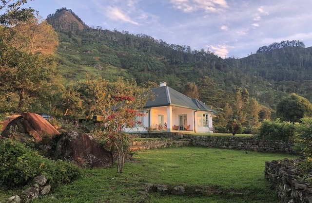 Full board on an organic tea estate high in the hills - whole cottage with staff