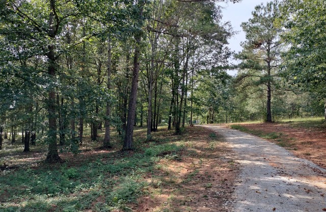 Full Hookup RV site-Pet Friendly! Big Foot Trail at Hairy Hiker Woods