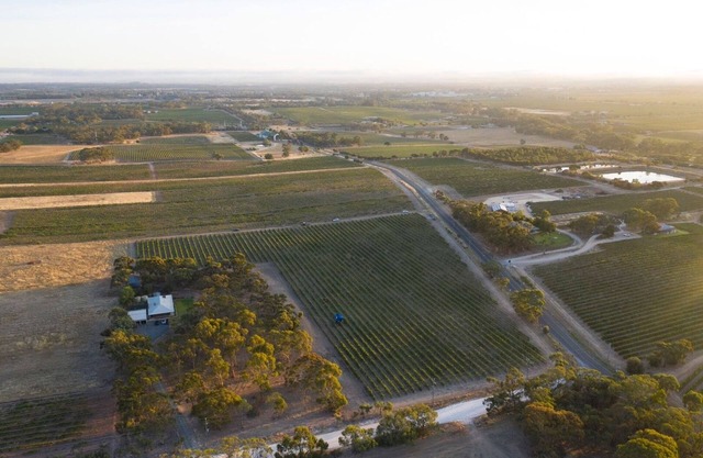 Furche Barossa 5 bed Stay: Vineyards and Fireplace