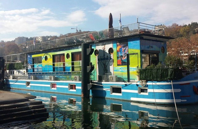 Furnished Studio on barge quay of the Saône, center, unusual, quiet, near train station